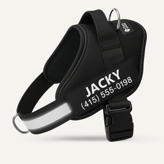 Dogshood ™ No Pull Harness