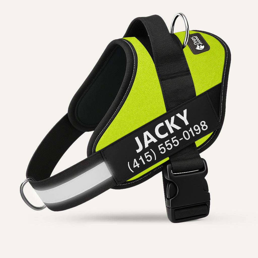 Dogshood ™ No Pull Harness