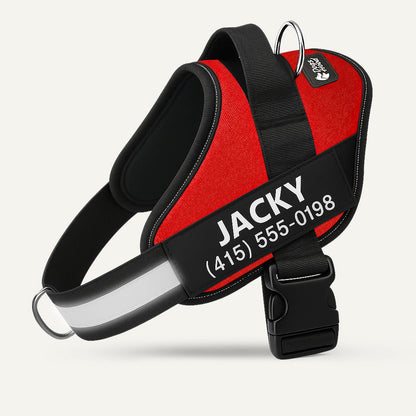 Dogshood ™ No Pull Harness