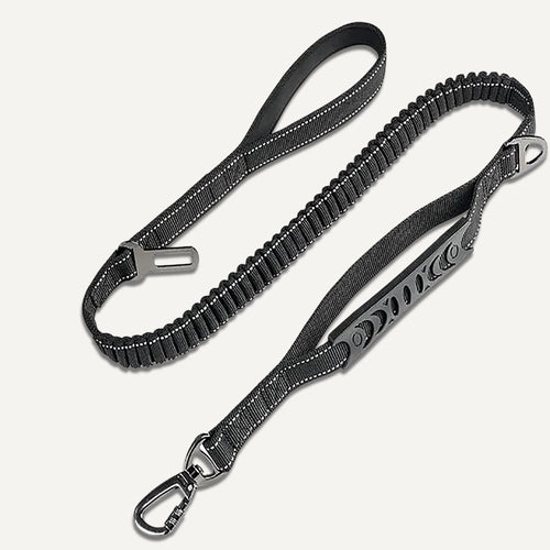 Bungee Leash