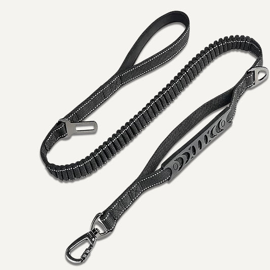 Bungee Leash