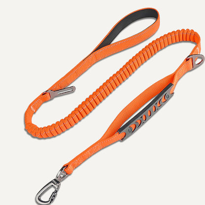 Bungee Leash