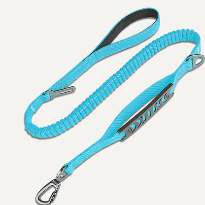Bungee Leash