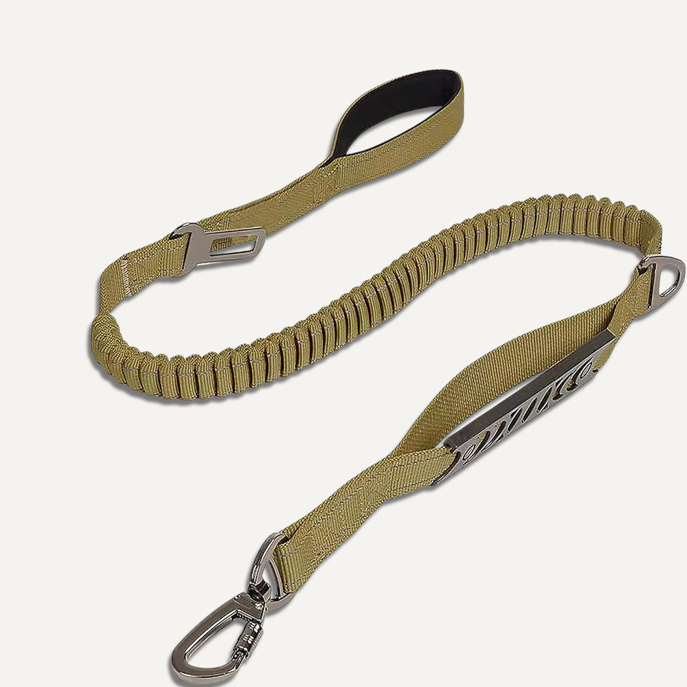 Bungee Leash