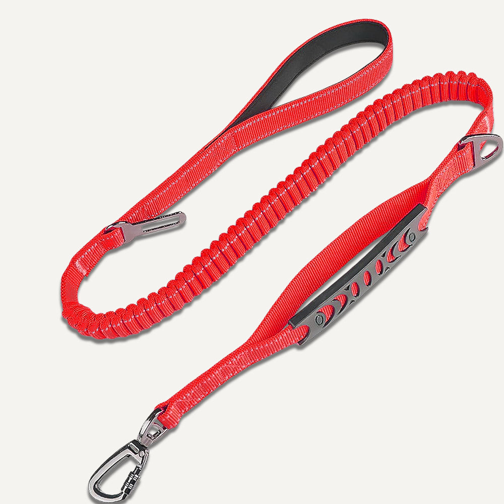 Bungee Leash