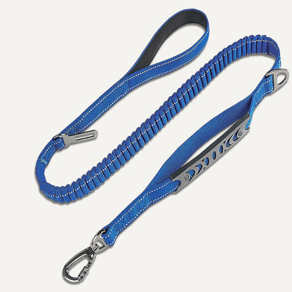 Bungee Leash